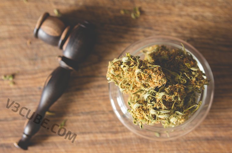 uber for Marijuana uber for Marijuana